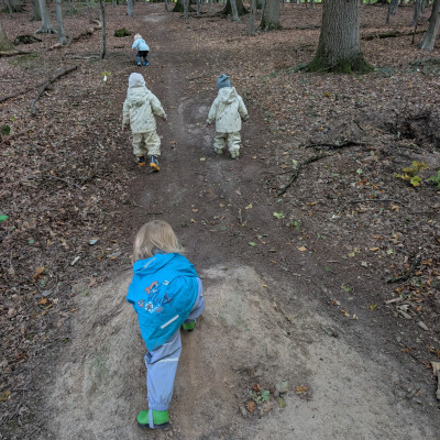 Berganstieg im Wald ;)