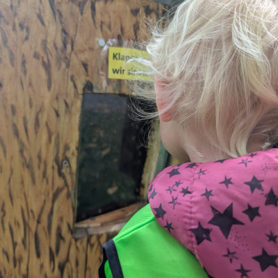 Hinter dem Glas sind Bienen und wir können sie beobachten.